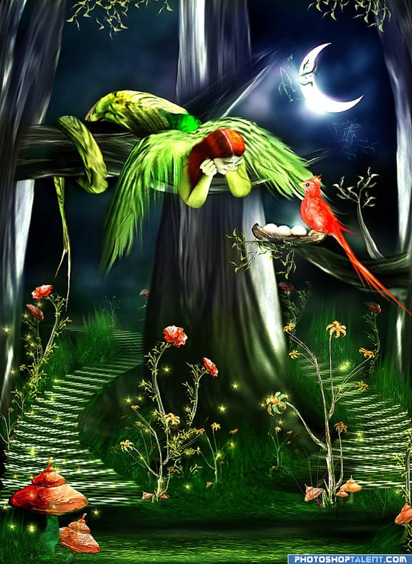 Fantasy Jungle photoshop picture